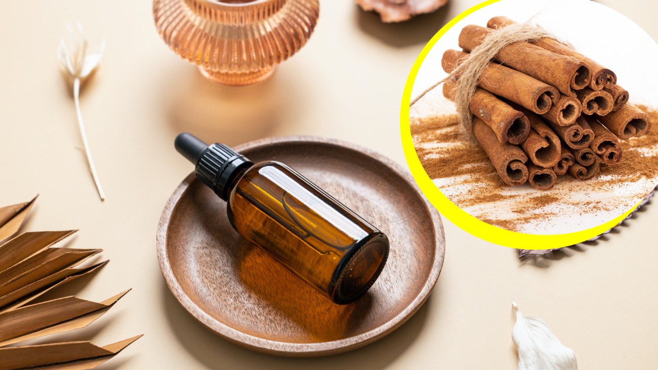 Cómo hacer aceite de canela