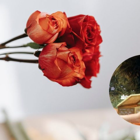 como invocar a afrodita