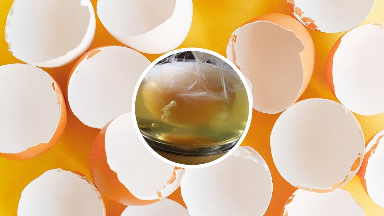 limpia con huevo telarañas