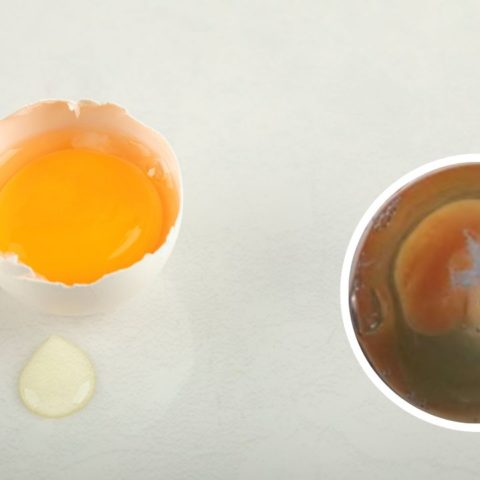 que significa rompe yema