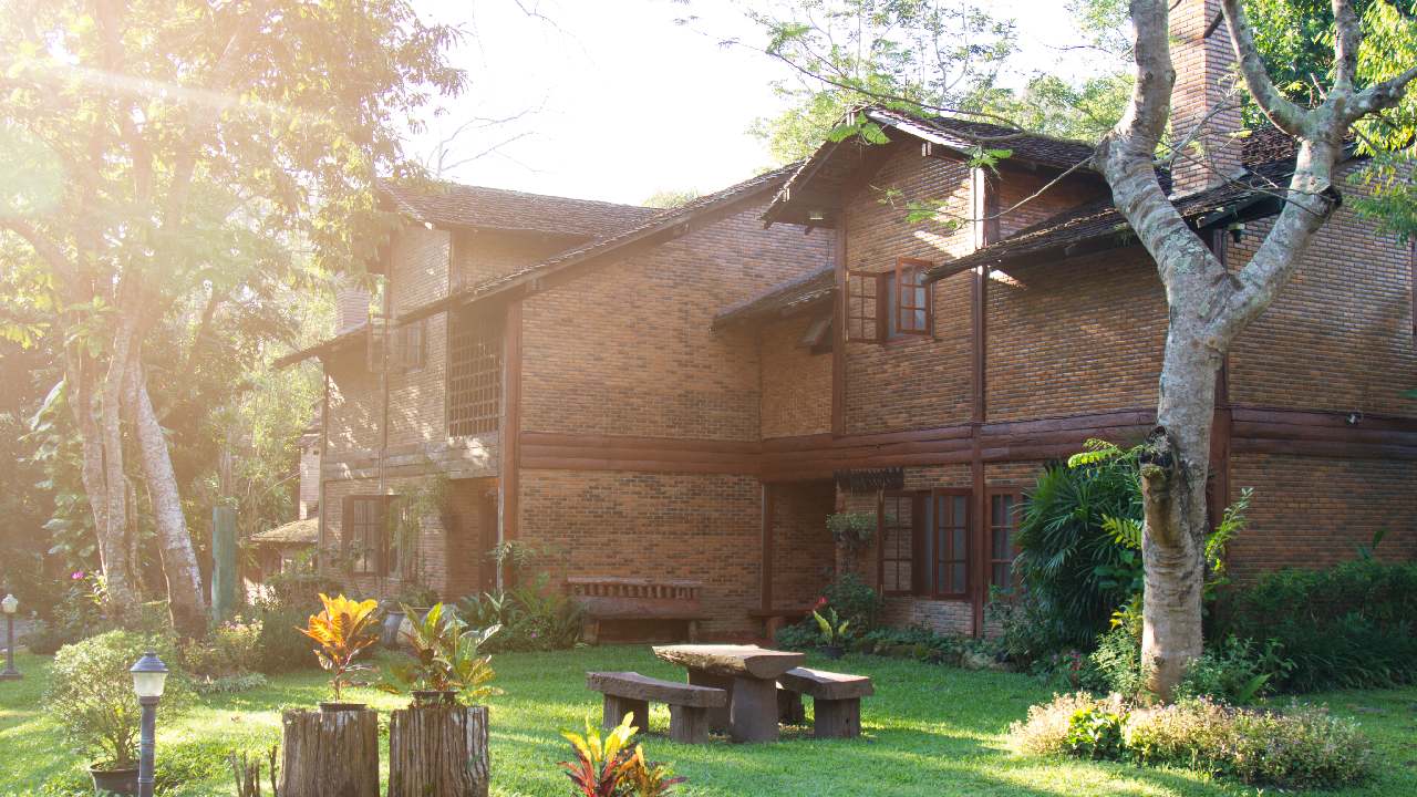 que arboles plantar afuera casa