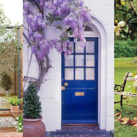 mejores arboles entrada casa