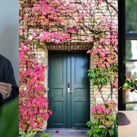 tips feng shui atraer dinero