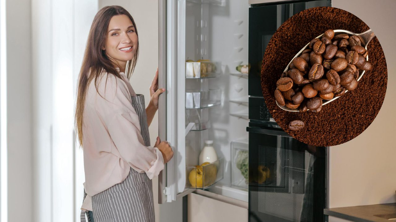 beneficios de colocar café molido en tu refrigerador