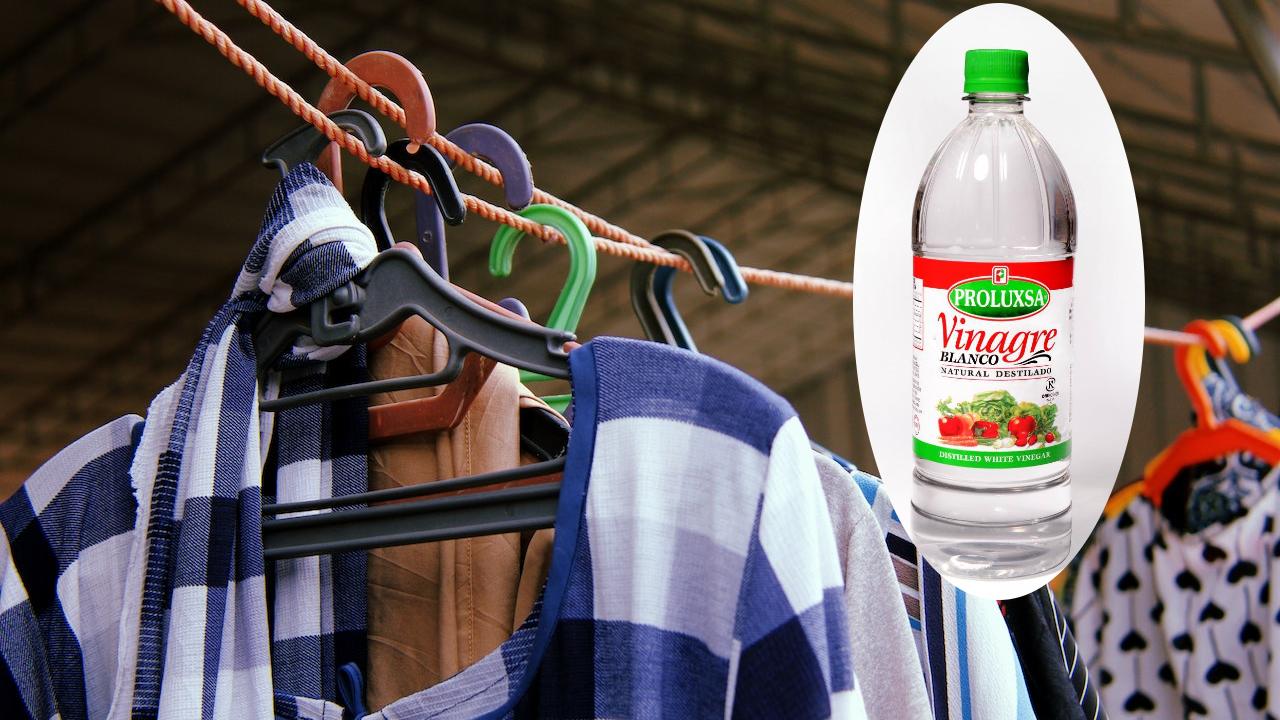 ropa de color se mantenga brillante