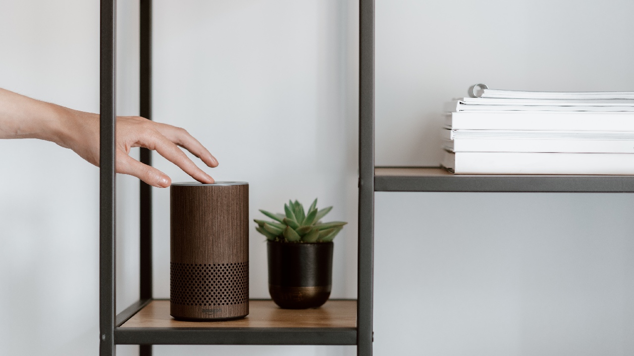 cancion ahuyenta mosquitos