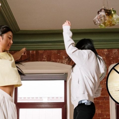 musica ahuyenta mosquitos