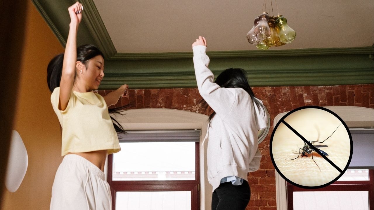 musica ahuyenta mosquitos