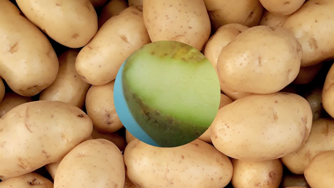 papas con partes verdes