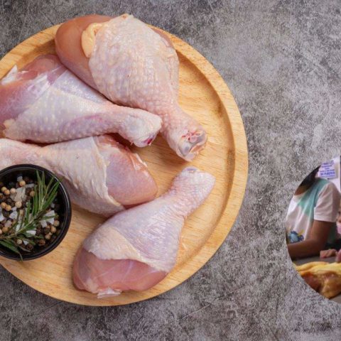 polleria ofrece curso de verano