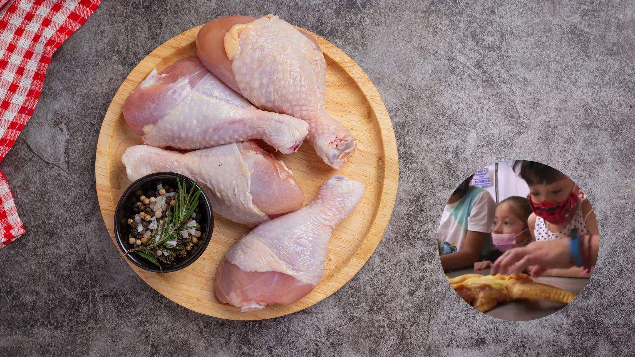 polleria ofrece curso de verano