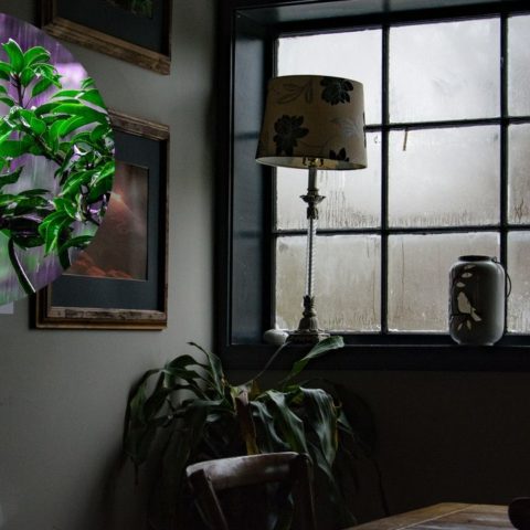 debes dejar abiertas las ventanas cuando llueve