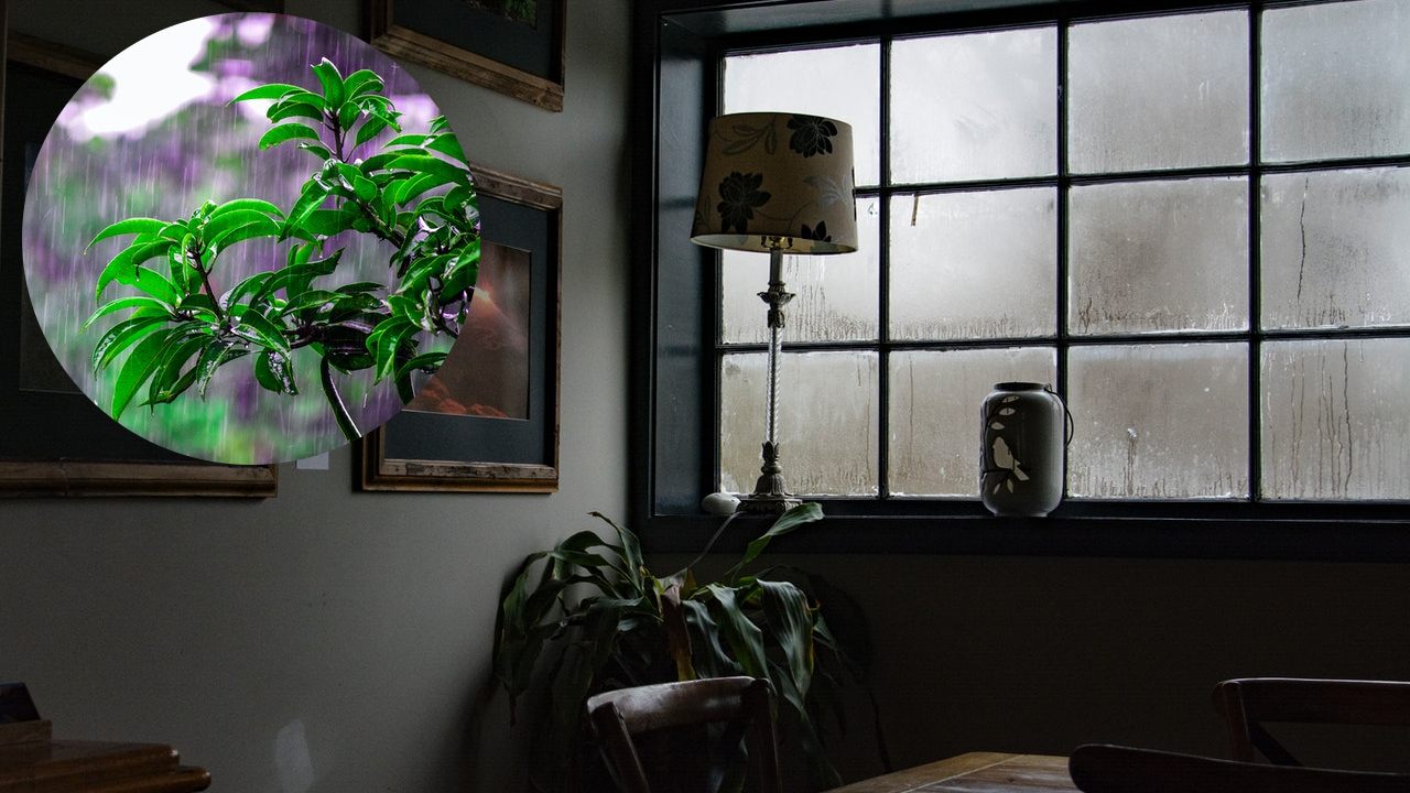 debes dejar abiertas las ventanas cuando llueve