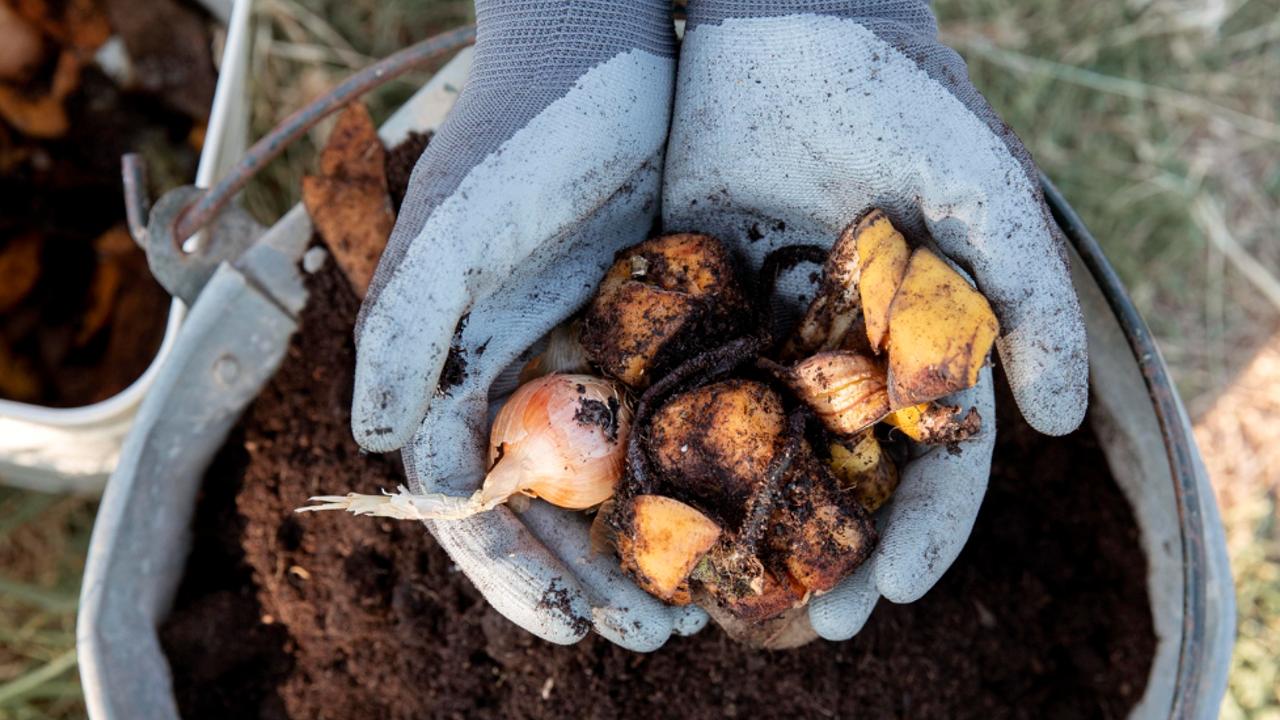 fertilizar demasiado tus plantas