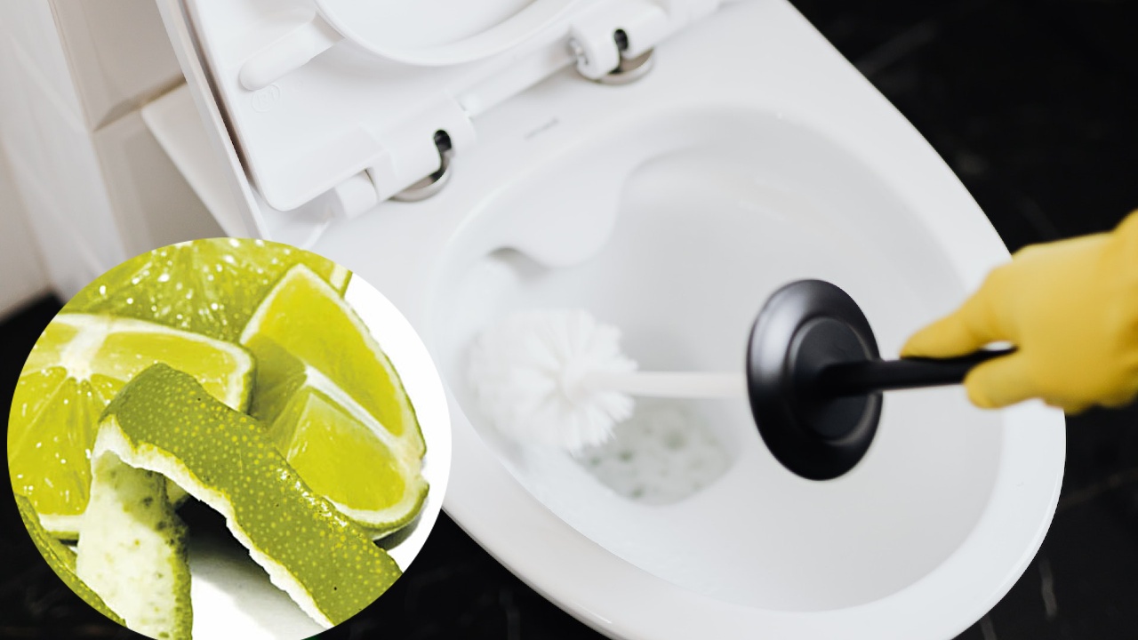 eliminar el sarro de tu taza de bano