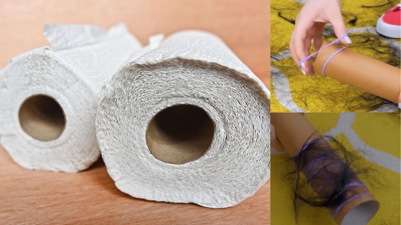 como limpias pelo perro