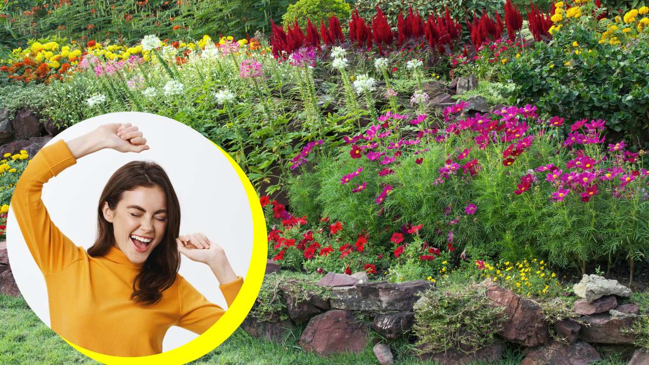 Trucos para que tus plantas den floraciones