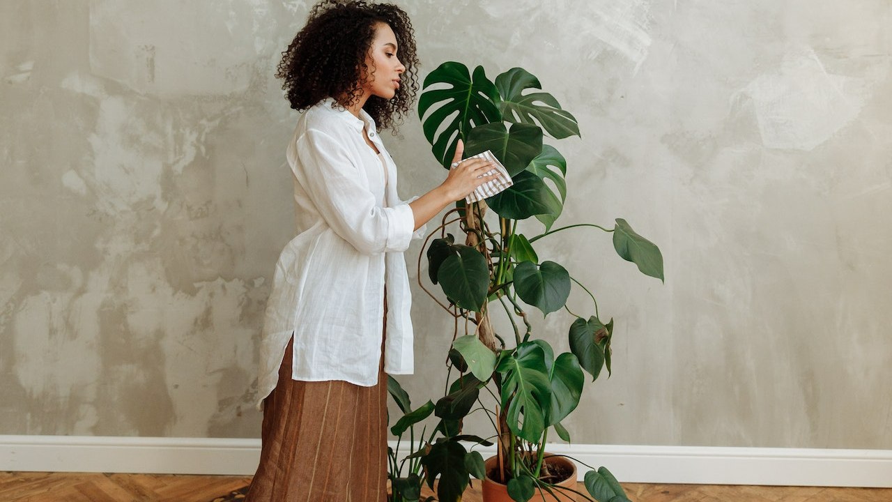 abona tu costilla de adán