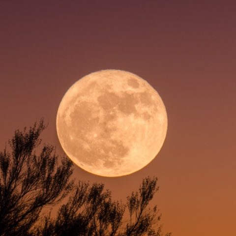 eventos astronómicos de septiembre 2022