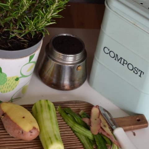 Cómo hacer composta en departamento