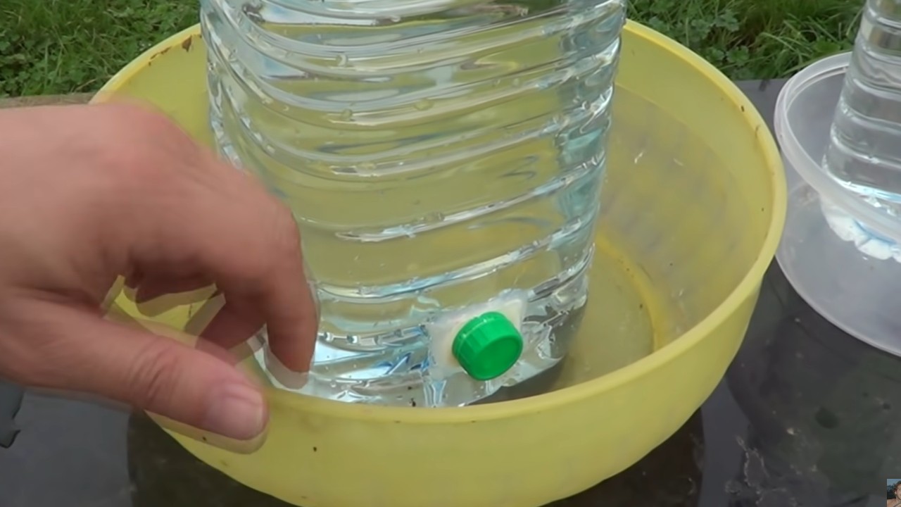 como hacer un bebedero casero para pollos