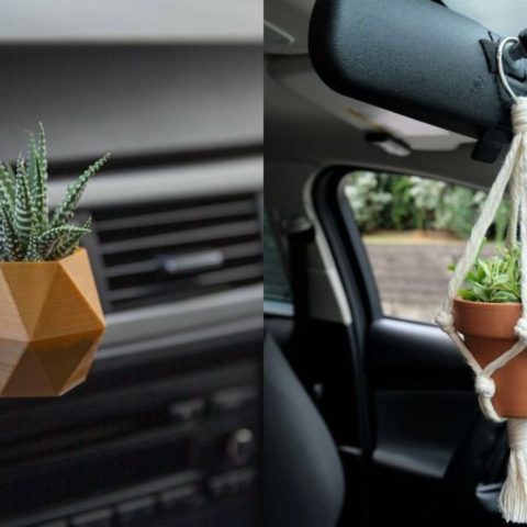 cultivar plantas dentro carro