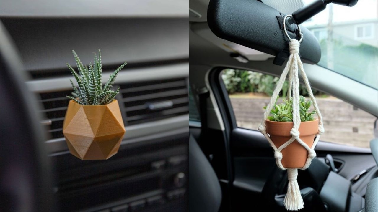 cultivar plantas dentro carro