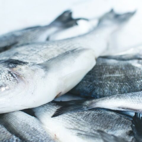 mala idea comprar pescado lunes