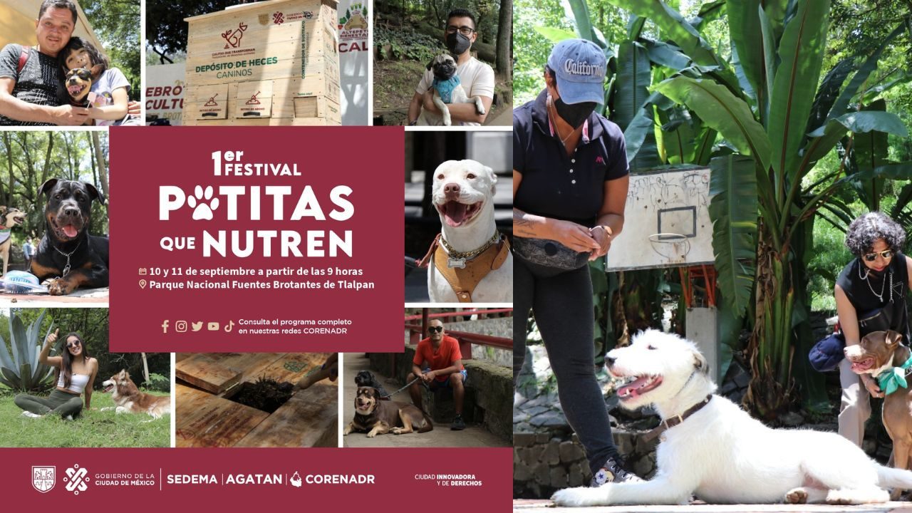 festival de perros cdmx