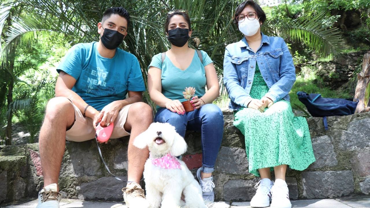 festival de perritos cuando es