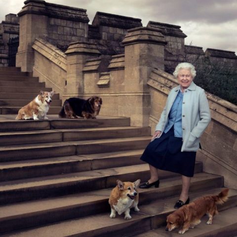 perros corgis de la reina Isabel II
