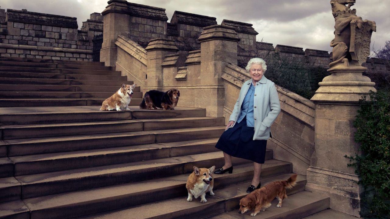 perros corgis de la reina Isabel II