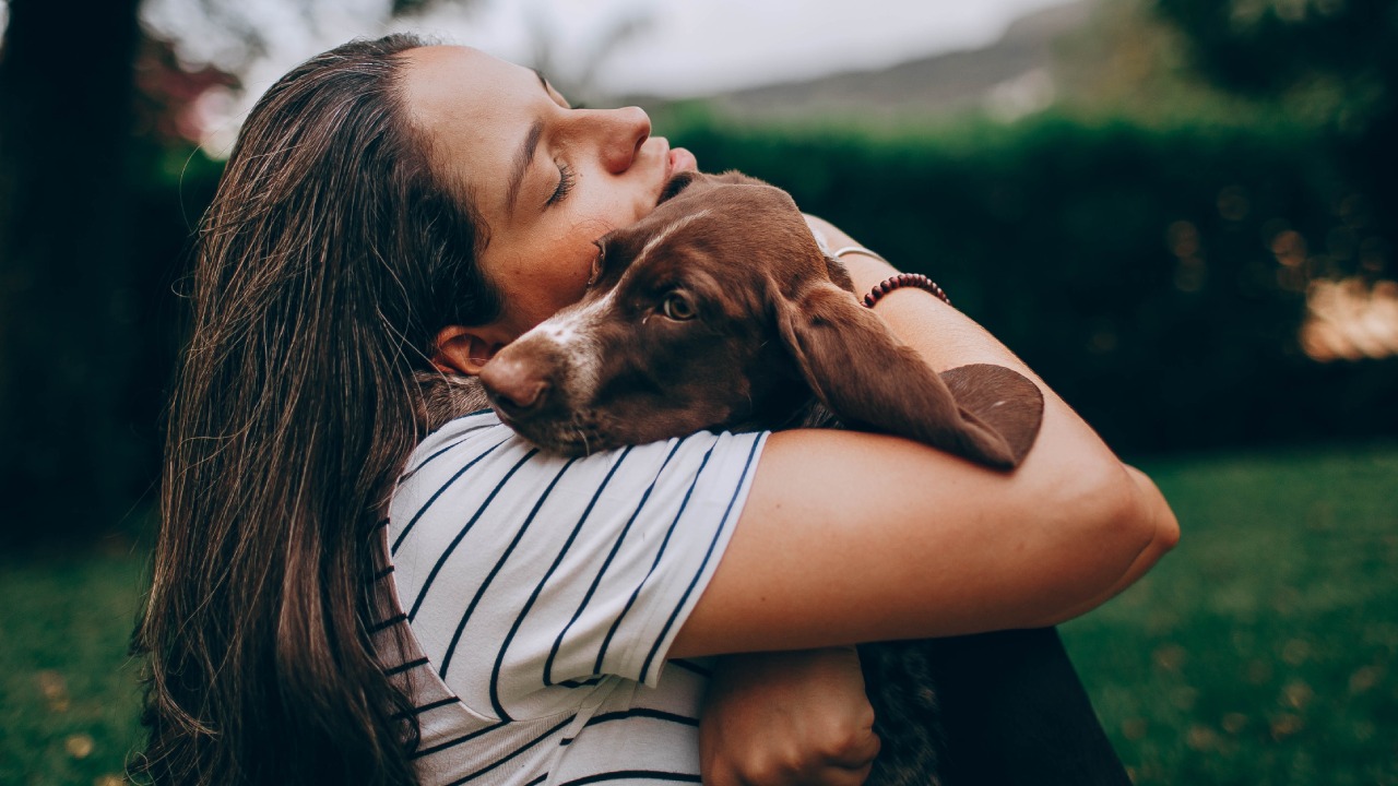 Perfume para perros casero