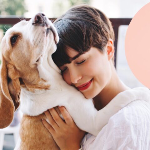 Perfume para perros casero