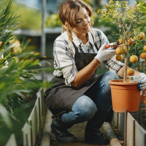 Que sembrar en septiembre