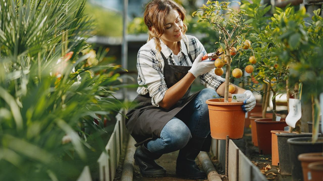 Que sembrar en septiembre