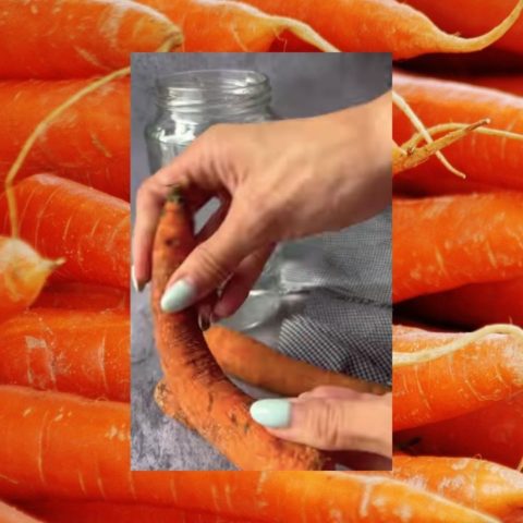 revivir zanahorias blandas