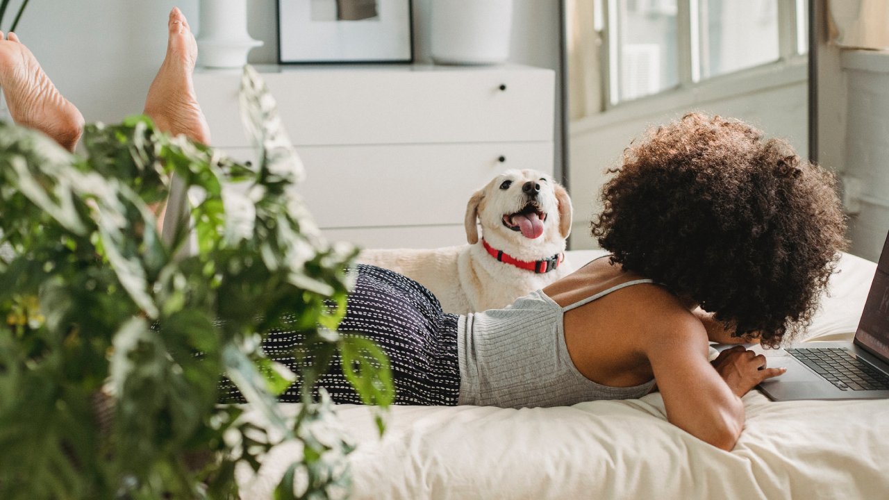 bicarbonato y vinagre para eliminar los malos olores de mascotas