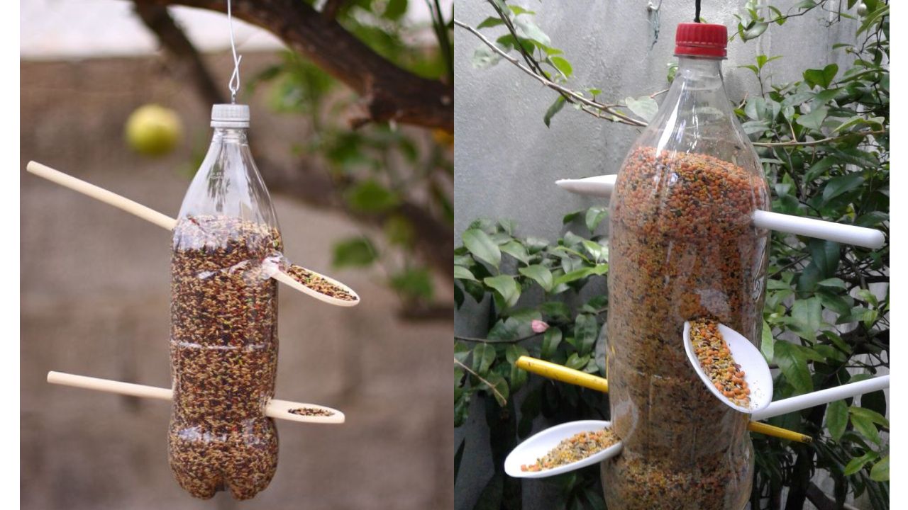 Comedero para ardillas con botellas de plástico