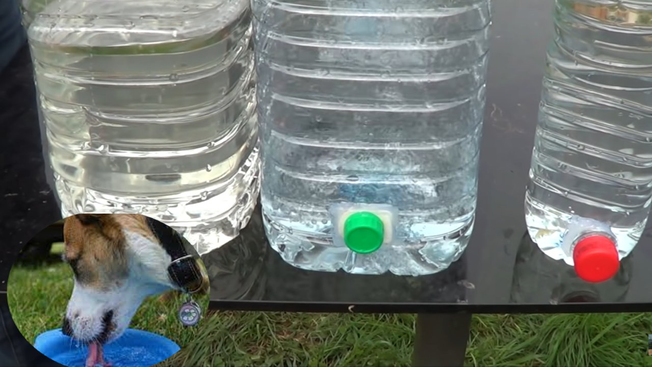 como hacer un bebedero casero para tu perro o gato para tus días de vacaciones