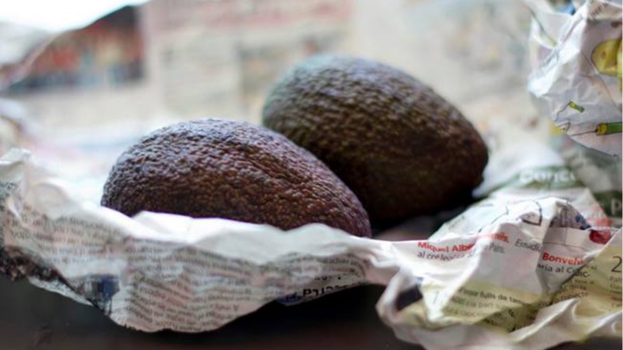 el aguacate se madura al envolverlo en periódico