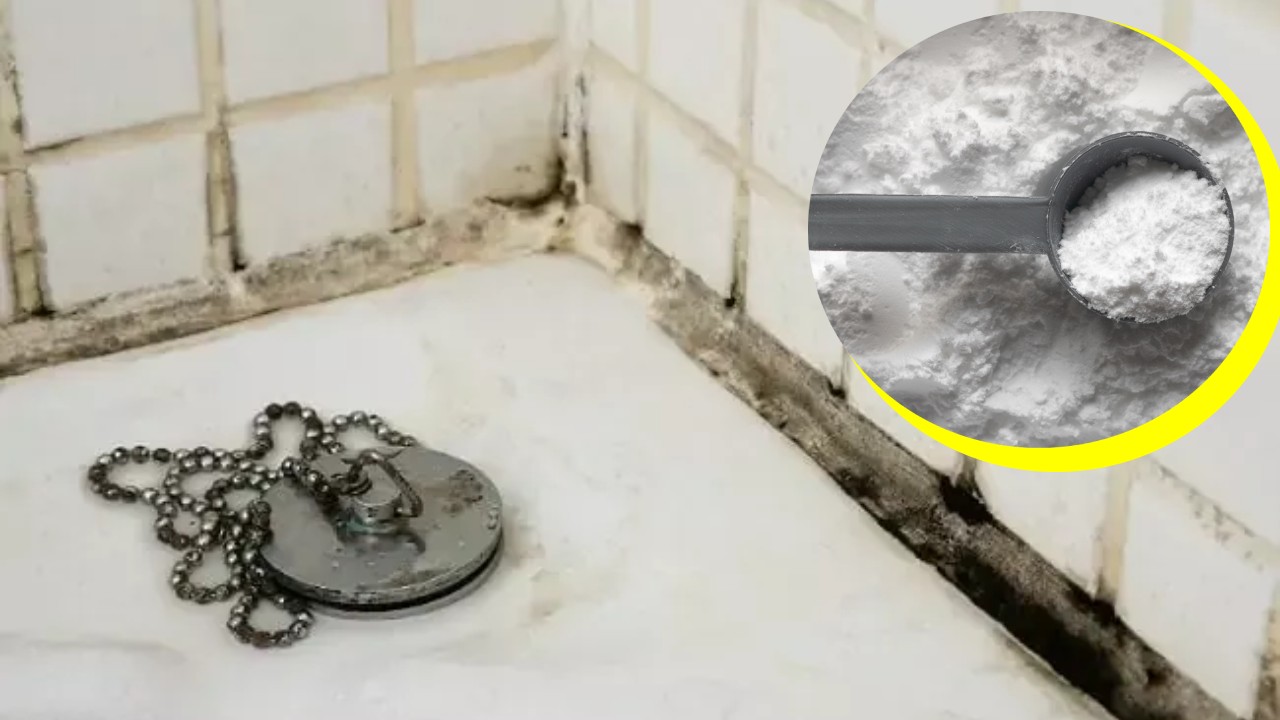 Eliminar el moho del baño con polvo para hornear
