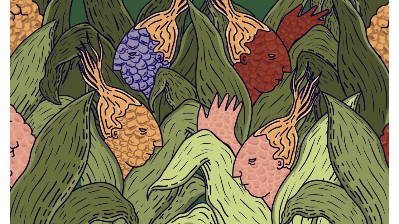 mexicanos hijos del maíz leyenda maya