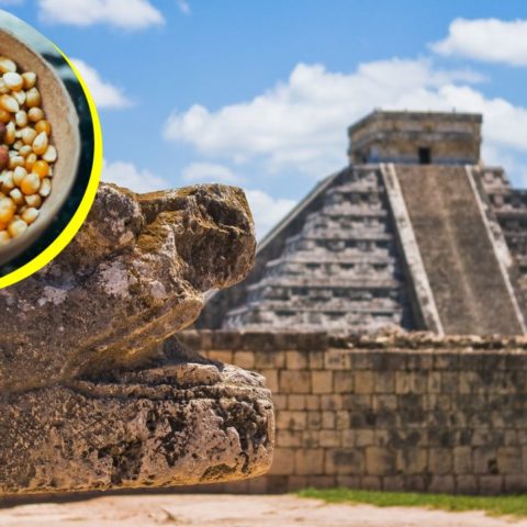 mexicanos hijos del maíz leyenda maya