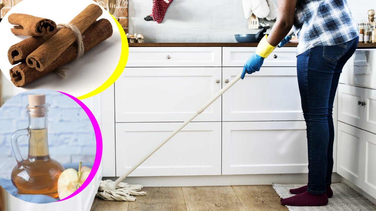 Beneficios de trapear la casa con canela y vinagre