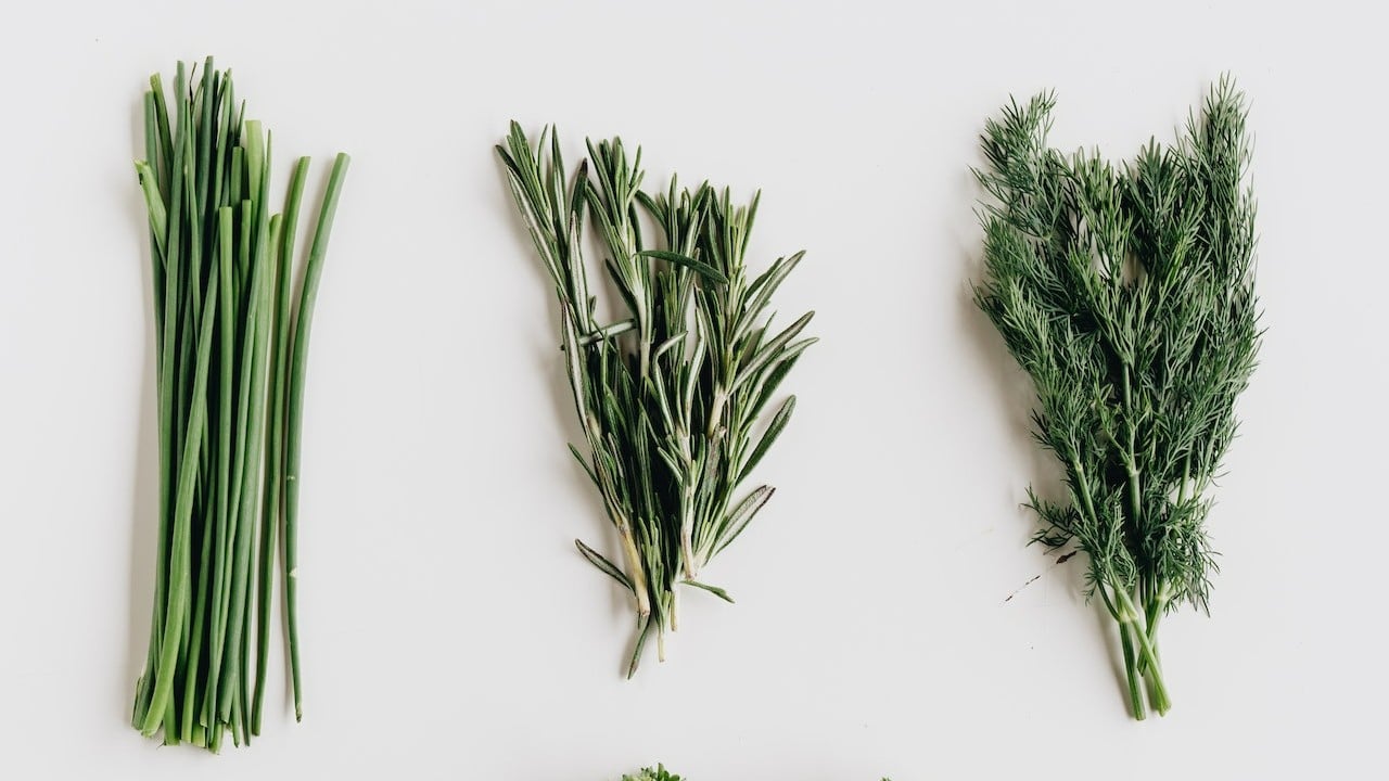 hierbas de protección