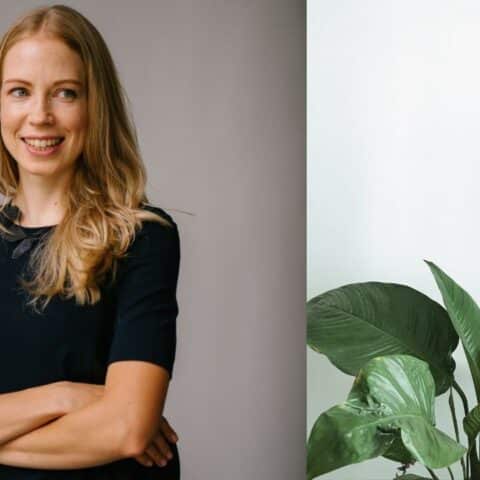 plantas perfectas para libra