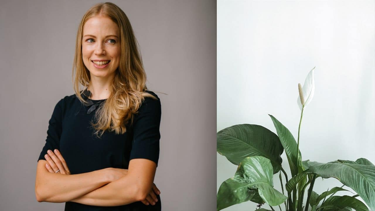 plantas perfectas para libra