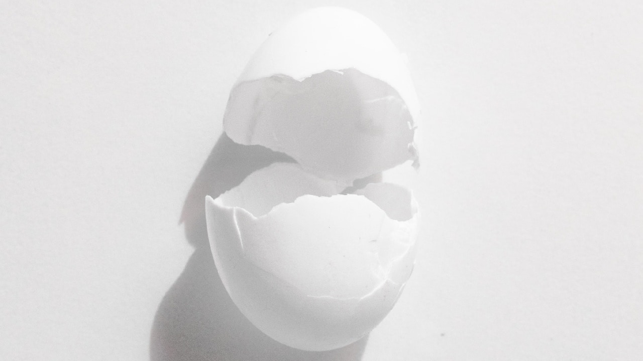 como reusar cascara de huevo