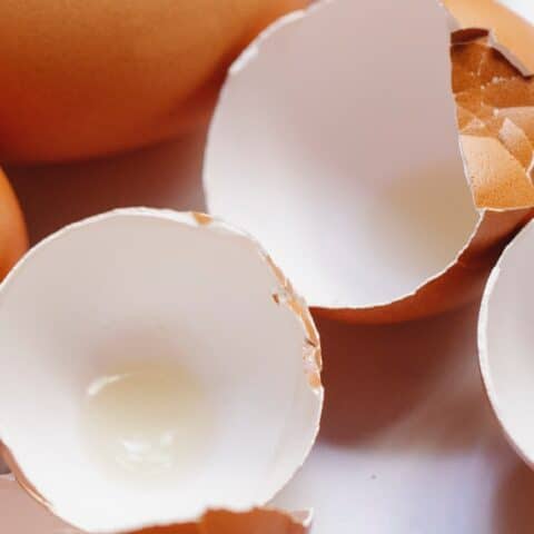 formas reutilizar cascara de huevo